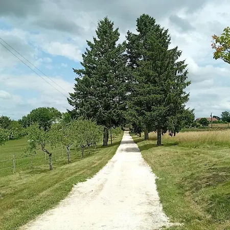 Domaine De Borde Grande - Le Logis - 4 - Jardin - Terrasses - Piscine - Internet - Parking * Castella (Lot-et-Garonne)